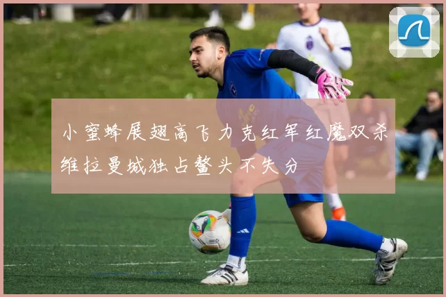 小蜜蜂展翅高飞力克红军红魔双杀维拉曼城独占鳌头不失分