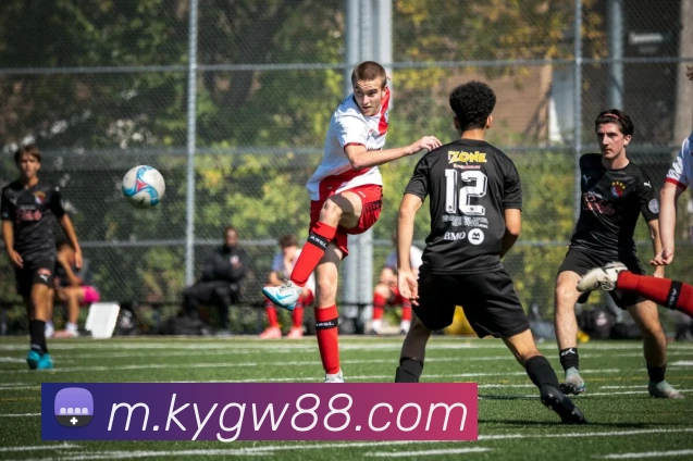 开云体育官网服务体系